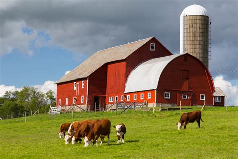 The Farm.